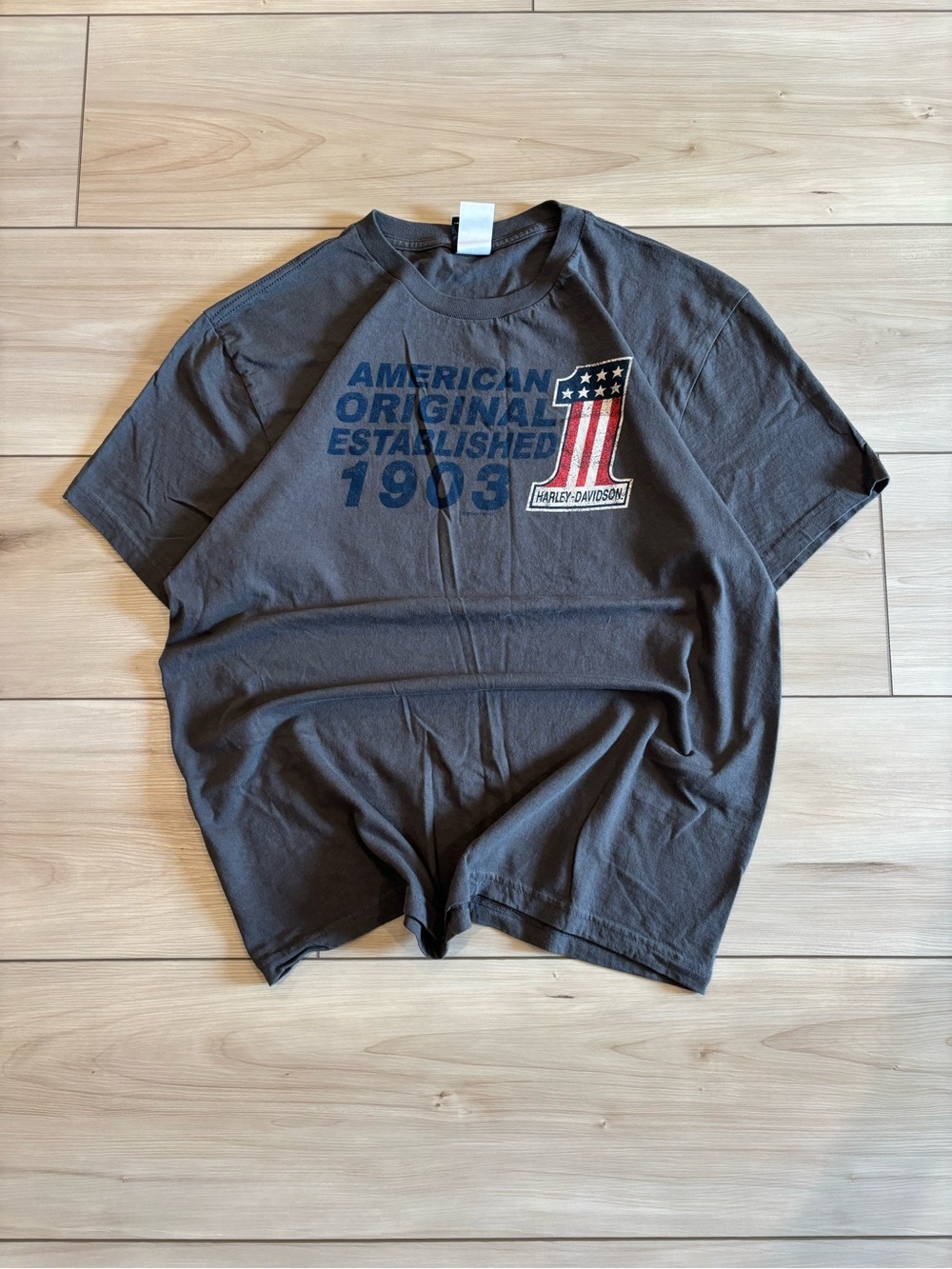 Harley-Davidson Motorcycles 1903 Men’s Charcoal Tee with Blue and Red Graphic